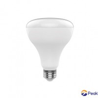 BR30 Lamp