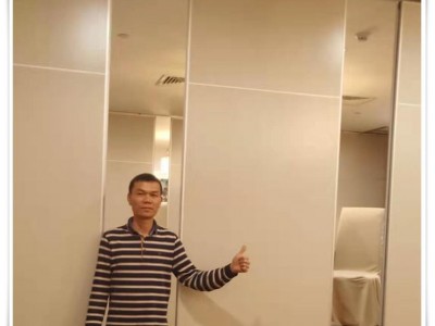 Guangdong Foshan Factory Direct Move Partition Hotel Movable Partition
