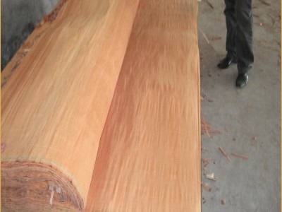 Gluta Veneer
