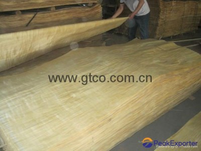 POPLAR Veneer