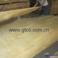 POPLAR Veneer