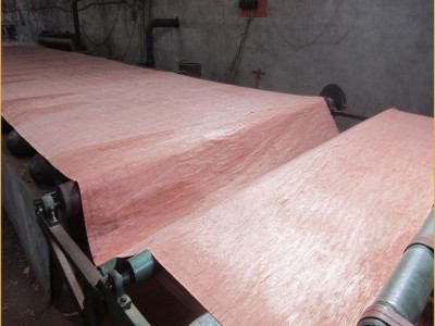 DIL Veneer