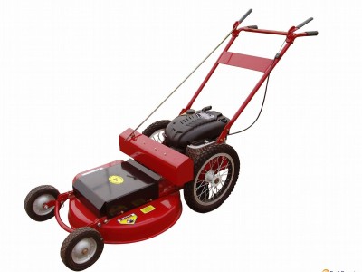 Slasher 24" Briggs&Stratton 750 Series Petrol Self Propelled Lawn mower