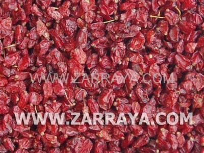 Barberry