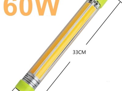 12V Fishing Light 60W LED Underwater Fishing Light Lures for River Lake fishing