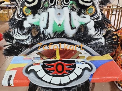 Junior Zhang Fei traditional lion