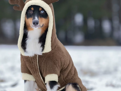Teddy fleece dog coat with small  reindeer hood