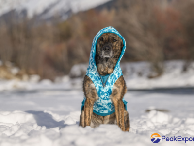 Batik Dog Hoodie Daphne