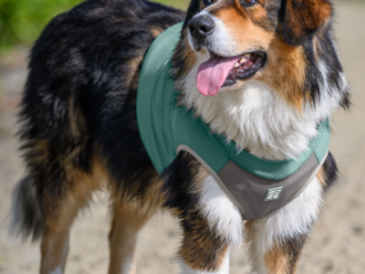 Cooling Vest Refresh for Dogs