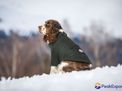 Sherpa Dog Sweater