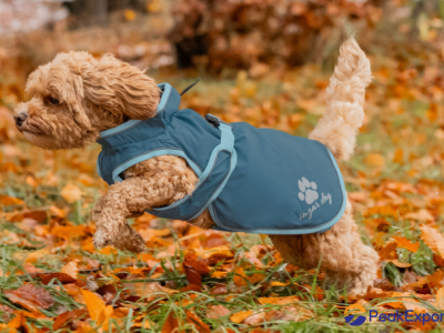 Dog Raincoat Eldoro II with Fleece Lining