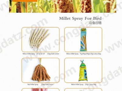Millet Spray