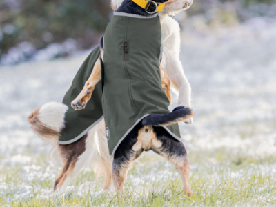 Softshell Dog Walker Athlete