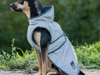 Safety First reflex dog coat