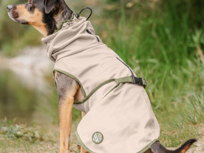 Fly protection coat Taiga for dogs