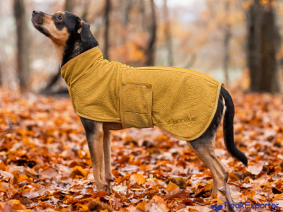 Dog fleece coat Indian Summer