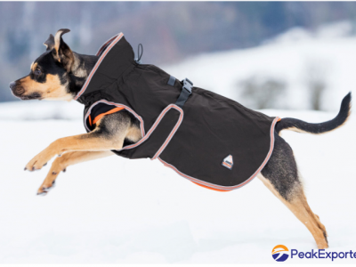 Dog Coat Ceramic Rehab