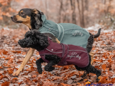 2 in 1 Nylon Dog Coat Ally