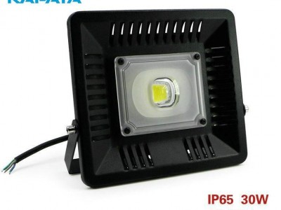 30W LED driverless floodlight, led floodlight, COB floodlight, LED street light