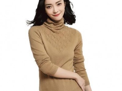 Ladies cashmere sweater