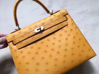 Kelly Handbags Ostrich leather Cheap        Kelly Bags online store