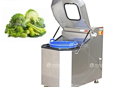 FZHS-15 Vegetable spin drier