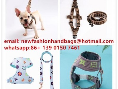 Running pet Bungee Hand Belt Lead Purse Pet harness
