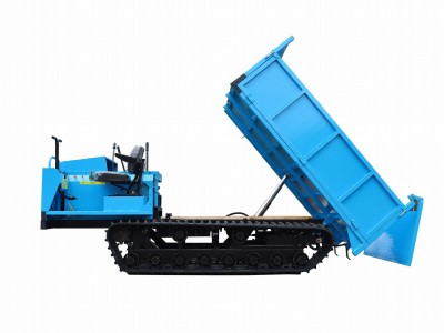 all terrain rubber tracked type transporter