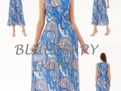 Ladies pleated dress