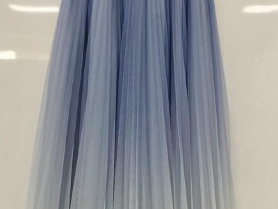 MESH PLEATED SKIRT