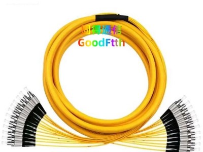 Patch Cord FC-FC SM G652 G657 G655 OM1 OM2 OM3 OM4 OM5 4C-144C Breakout Cable