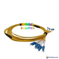 Multicore Patch Cord LC-LC UPC APC SM G652 G657 G655 Distribution 4C-144C