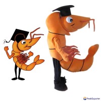 custom shrimp mascot suit prawn mascotte maker