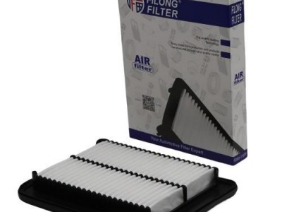 FOR HYUNDAI i10 Air filter 28113-0X000 281130X000 C24010 LX2649 FA-50020
