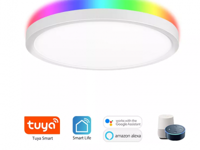 Smart WIFI+BLE Ceiling Panel light