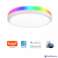 Smart WIFI+BLE Ceiling Panel light