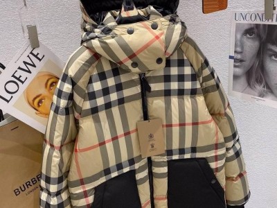 down jacket parkas purffer vest coats hooded feather warm men jackets