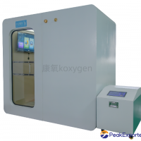 1 - person luxury - version oxygen chamber