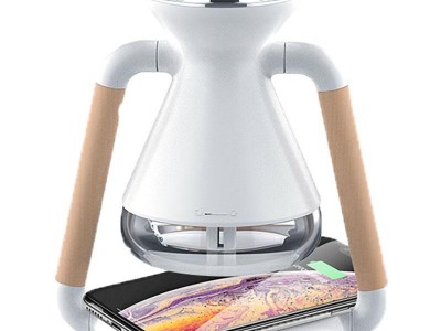 USB Charged Humidifier