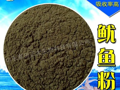 Squid Powder