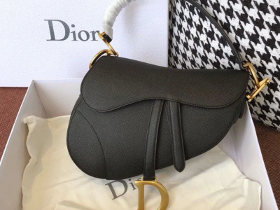 Saddle Bag 25cm Grained Calfskin Canvas Spring Summer handbag