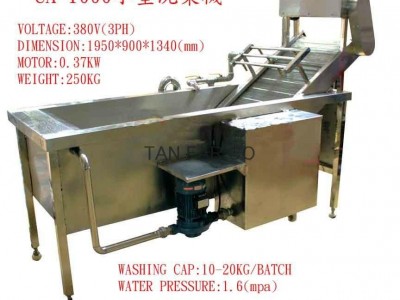 Mini type vegetable Washer