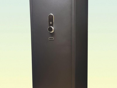 DZＷ-150S
