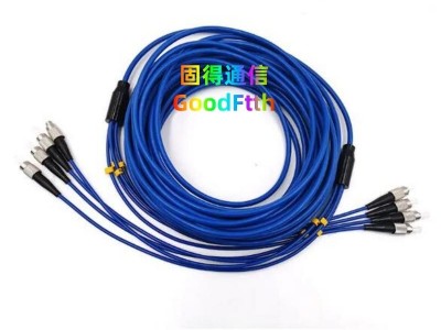 Indoor Patch Cord SC to LC FC ST SC MU E2000 MPO SM OM1 OM2 OM3 OM4 OM5