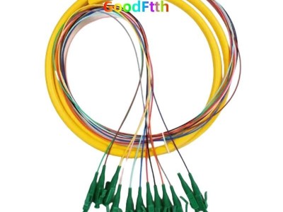 Fiber Pigtails 12 Core SC LC FC ST SM OM1 OM2 OM3 OM4 OM5