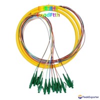Fiber Pigtails 12 Core SC LC FC ST SM OM1 OM2 OM3 OM4 OM5