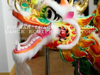 Kids dragon