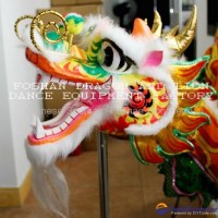 Kids dragon