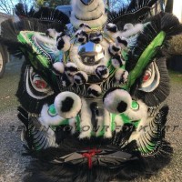 Foshan bristle lion in black color