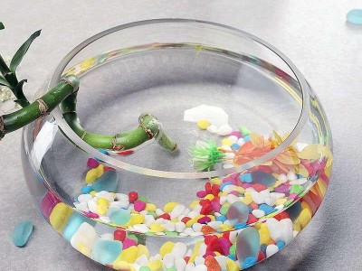 Glass Fish Bowl